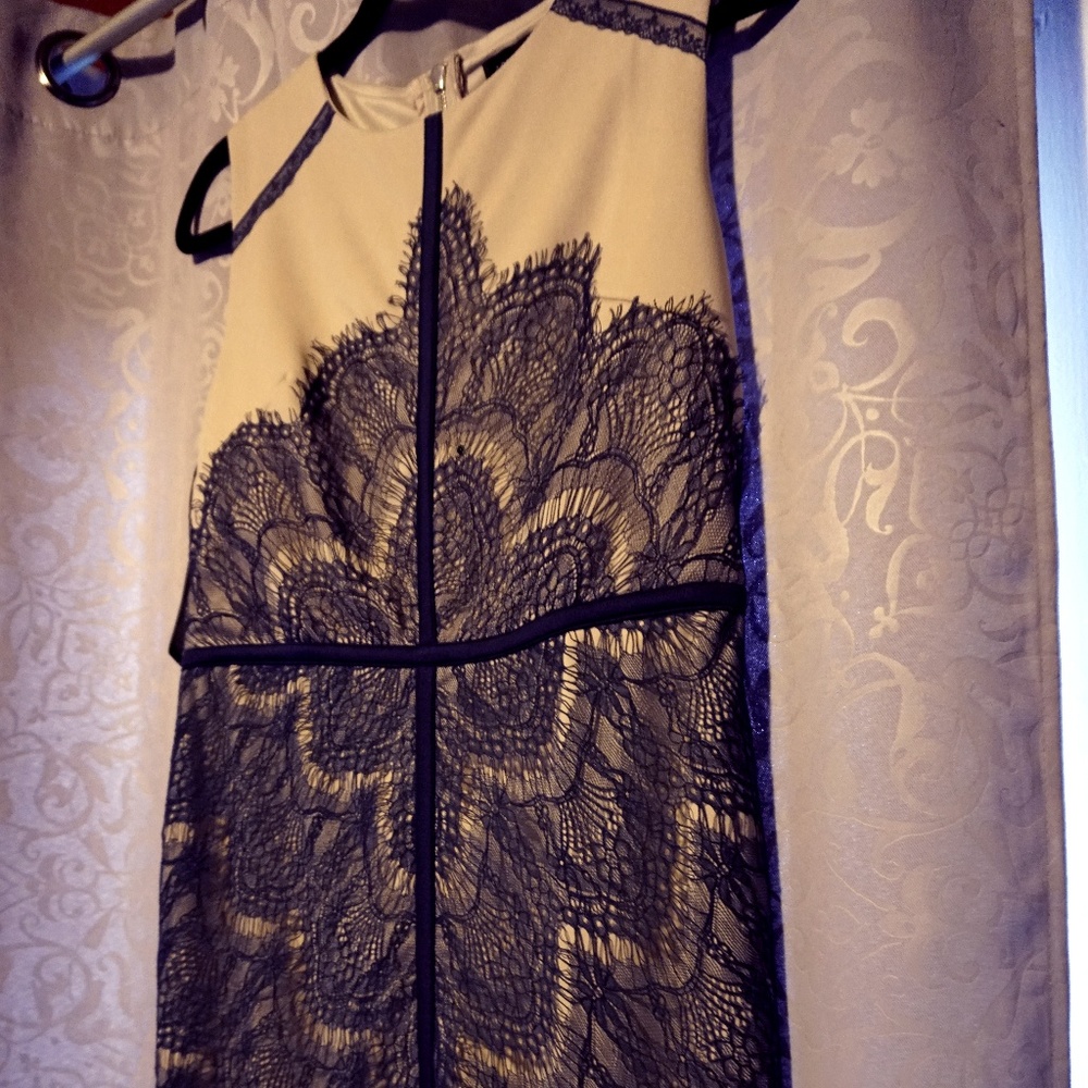 Navy and Cream Lace Dress